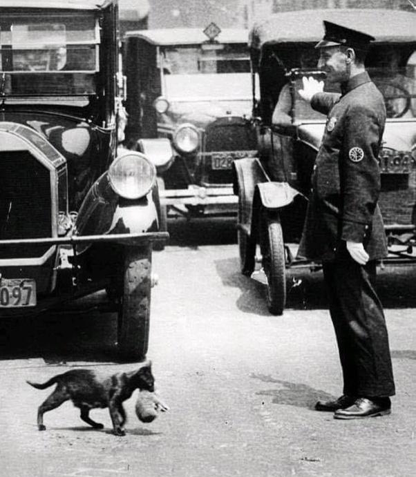 21张不可思议的图片,20张难以解释的诡异照片图片