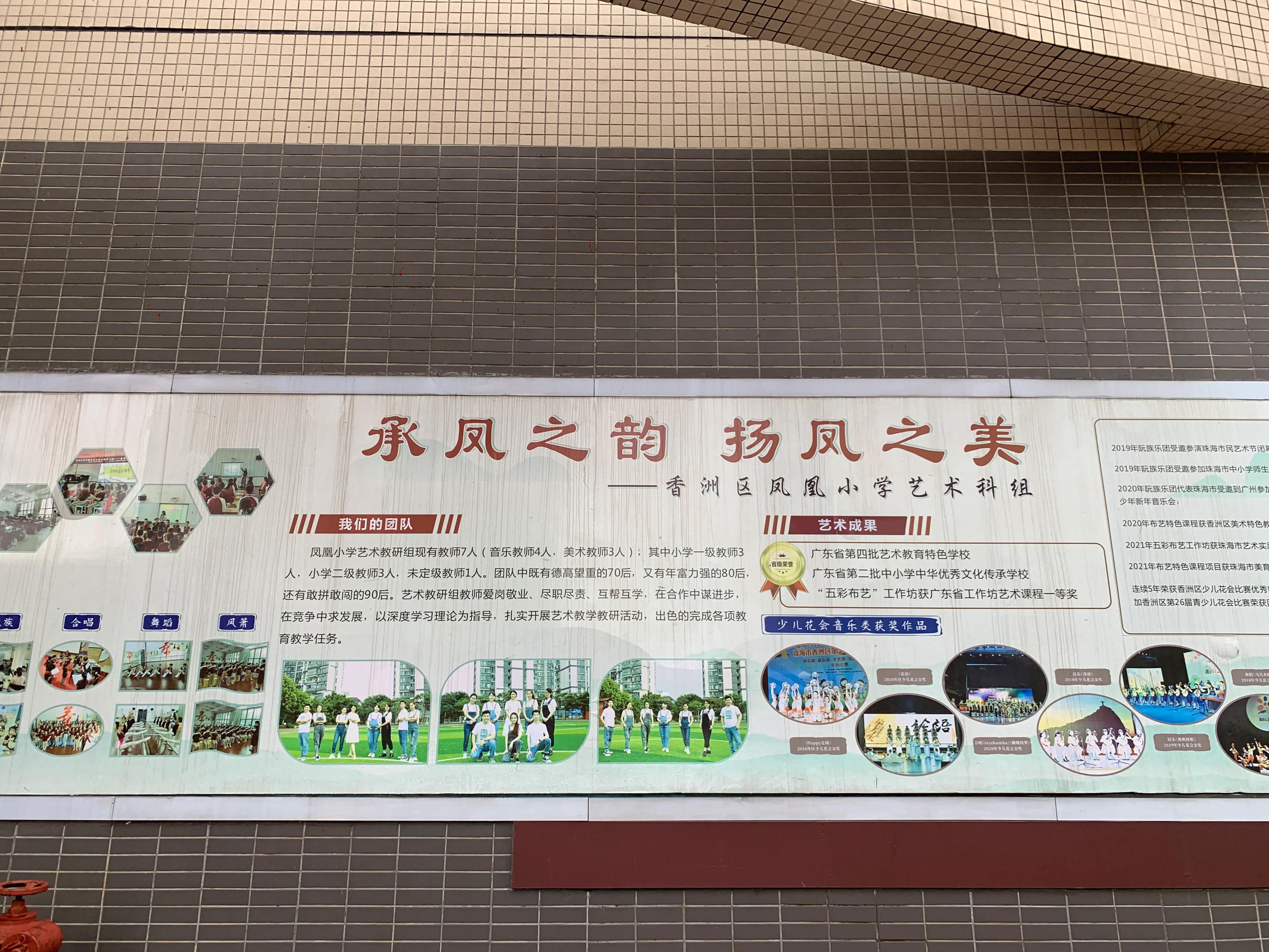 美丽的凤凰小学,林中凤凰小学