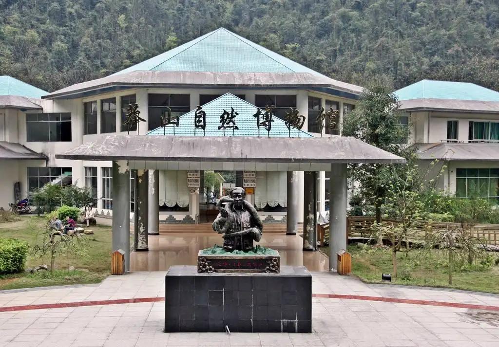 蛇中熊猫莽山烙铁头有多珍稀,蛇中大熊猫是什么蛇