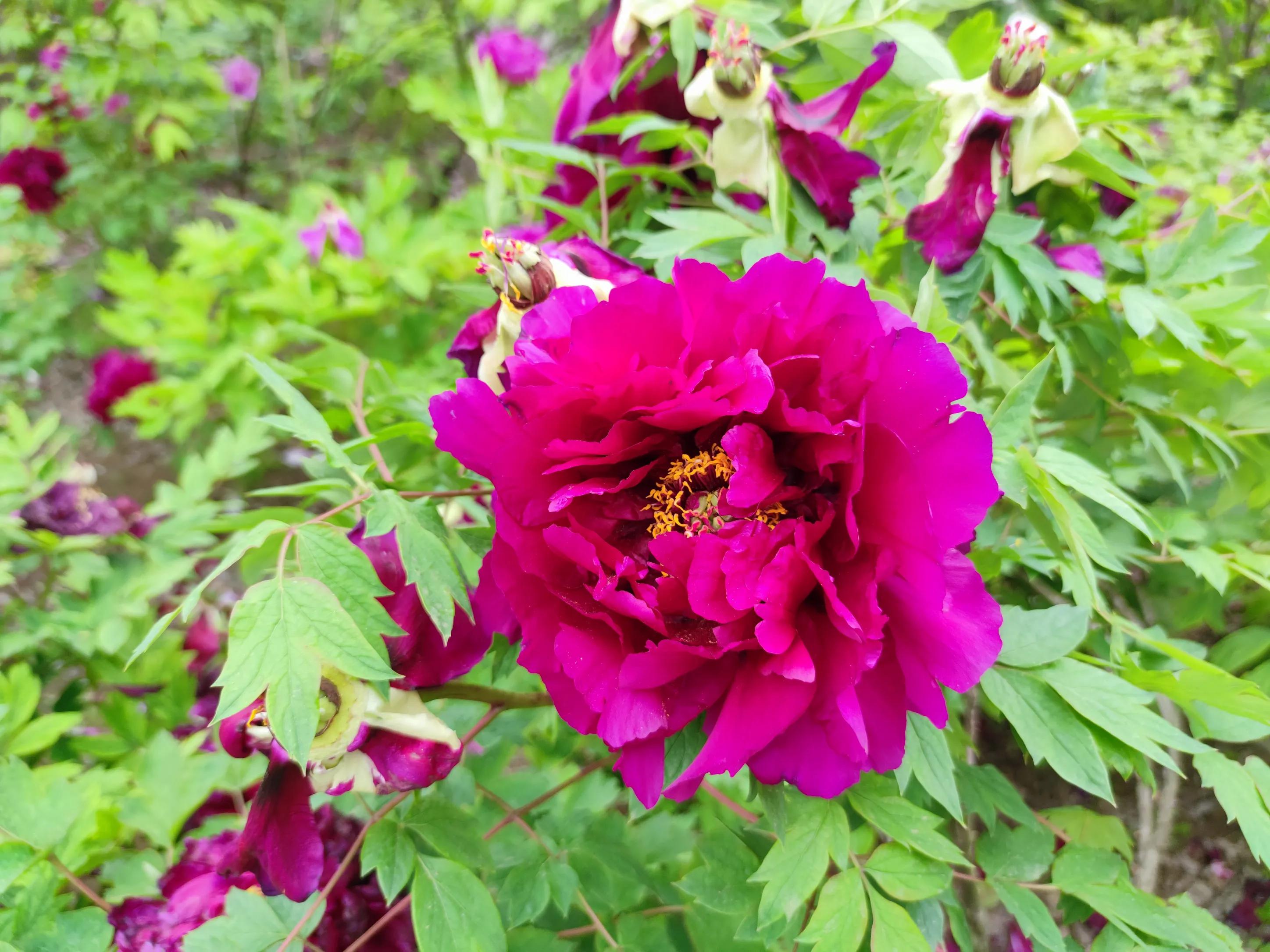 高考作文思路点拨,高中万能高分作文记叙文