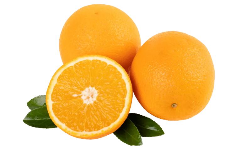 阳了之后的经历,阳过之后的生活