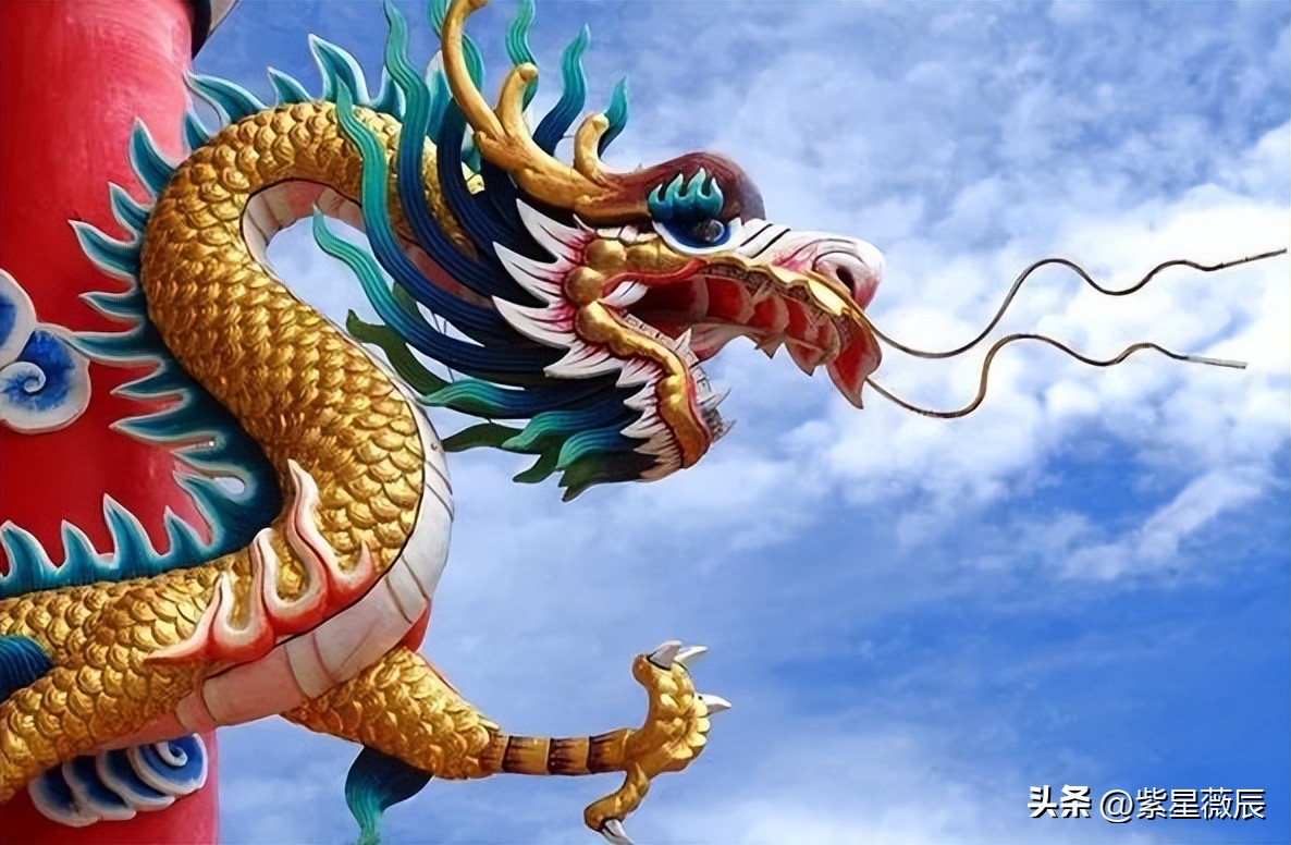 远古时代有什么龙是食肉动物,龙记载的到底是什么生物