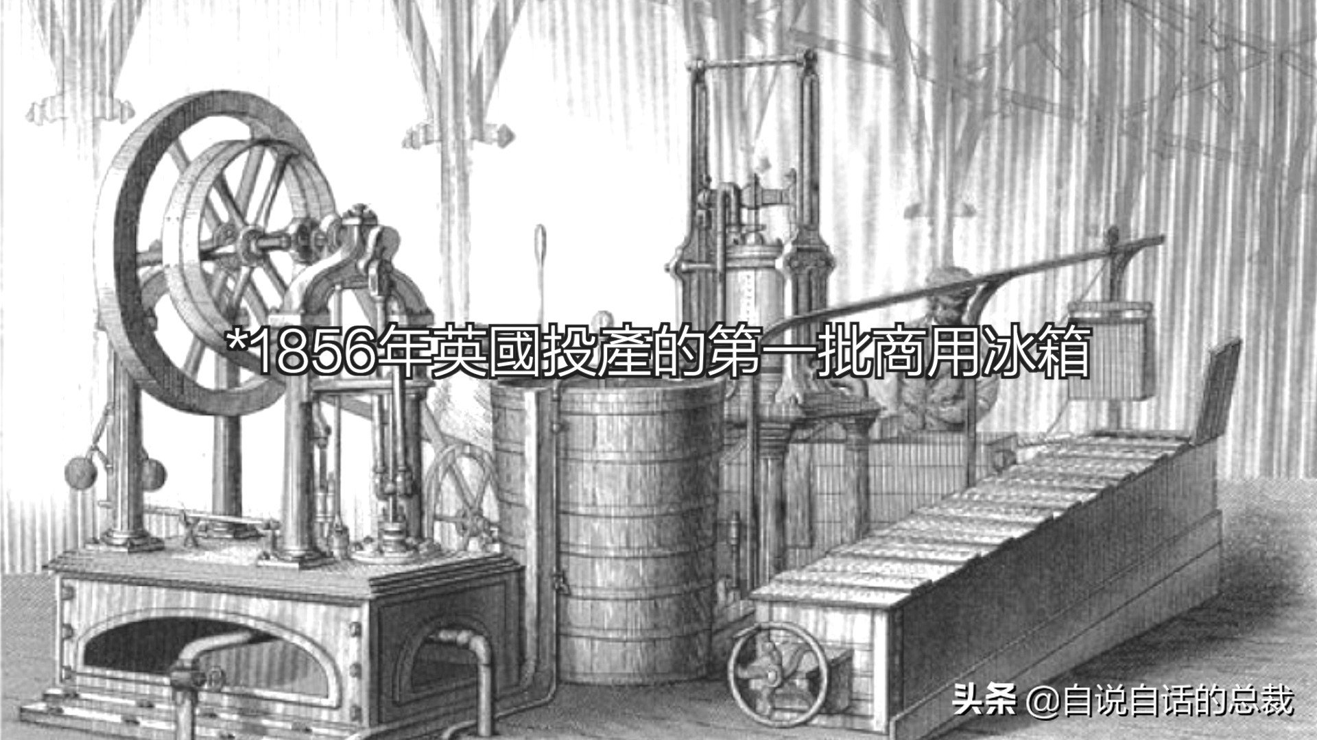 为什么买的鳕鱼段都是粘液,为什么买的鳕鱼那么多水