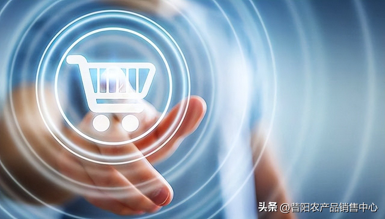 适合新手的跨境电商平台,新手亚马逊跨境电商教程