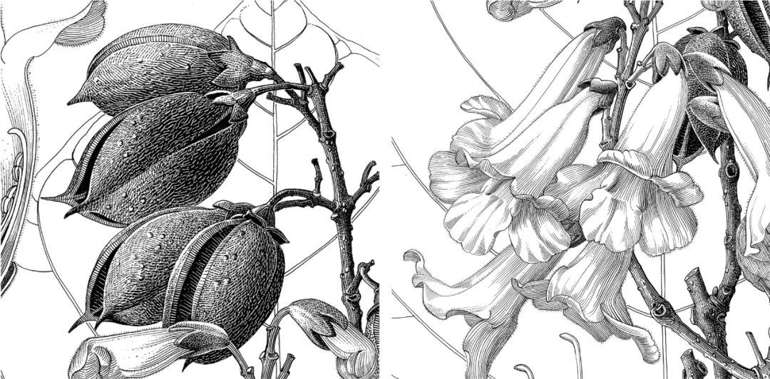 82岁老爷爷每天沉浸工作九小时,82岁爷爷每一天工作八小时