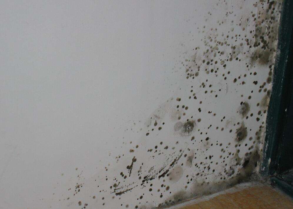 墙面防水补漏专治各种渗漏发霉,如何彻底做好旧房防水补漏