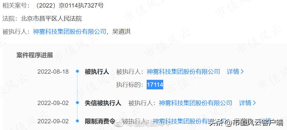 从博士到老赖，吴道洪资本覆灭记：神雾节能保壳战，造假了吗？