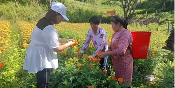 辛巴开国货计划新时代，即墨龙山：非遗公益课堂成暑期学习