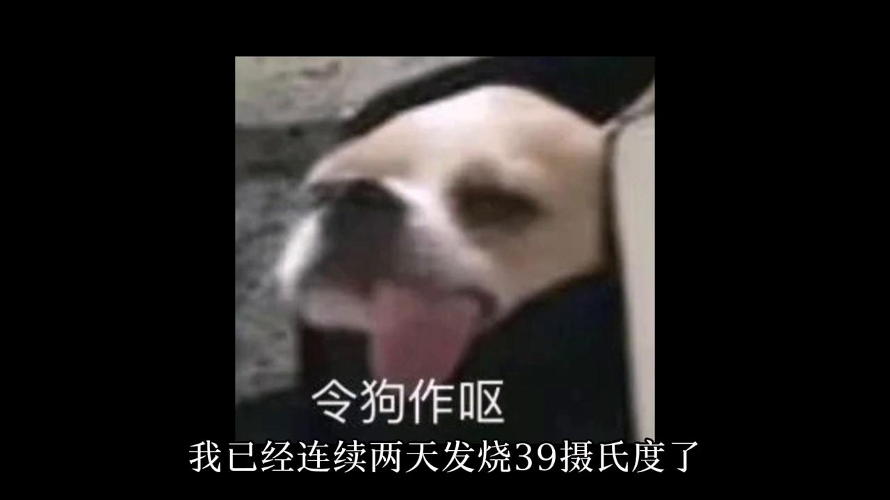 你的室友有哪一刻恶心到你,你的室友有哪一刻恶心到你了知乎