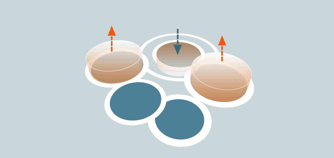 松江g60科创云廊旁边最美的公园,松江九亭g60科创云廊效果图