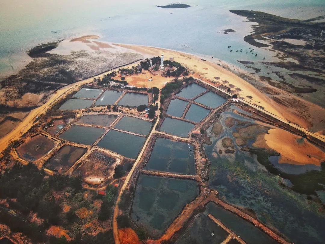 广东度假海岸,广东海岸线自驾游