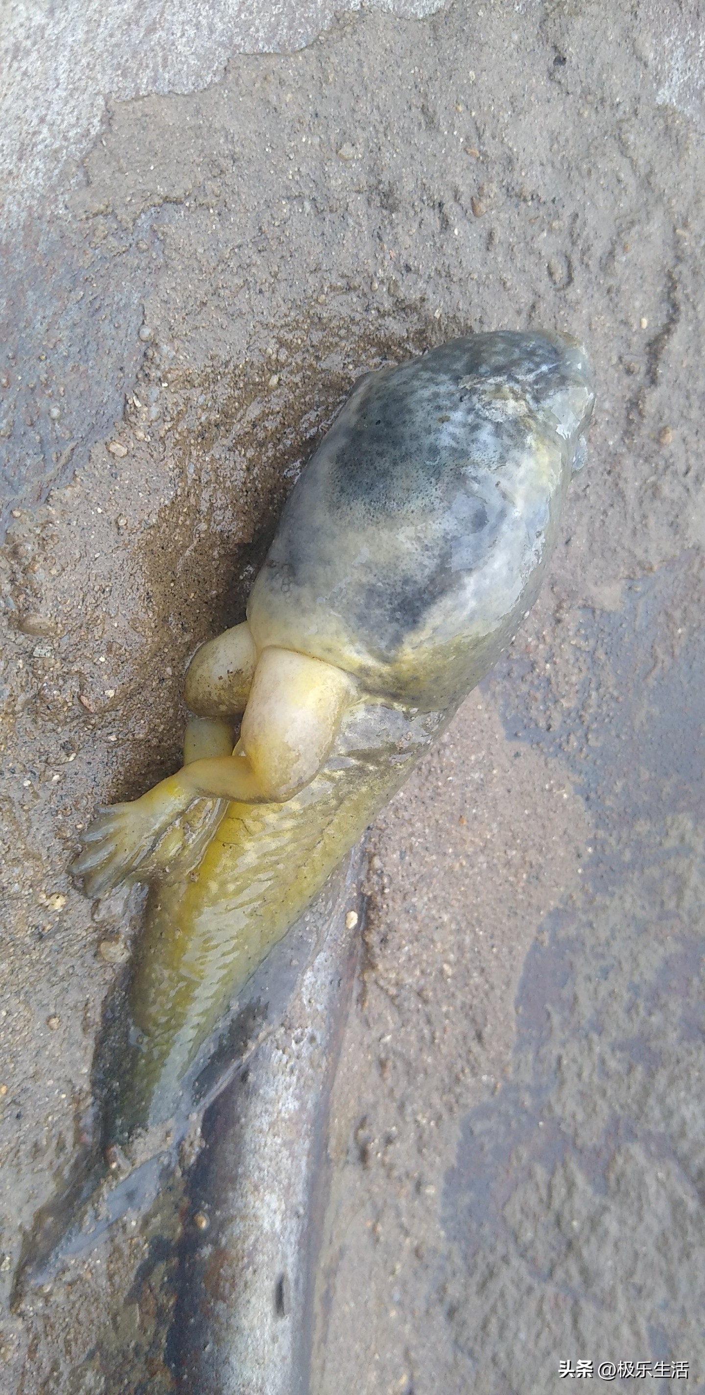 炎炎夏日给您带来视觉上的凉爽,发几张夏天炎热的图片