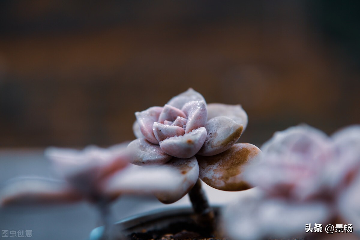 西安婚宴习俗,婚宴回礼习俗