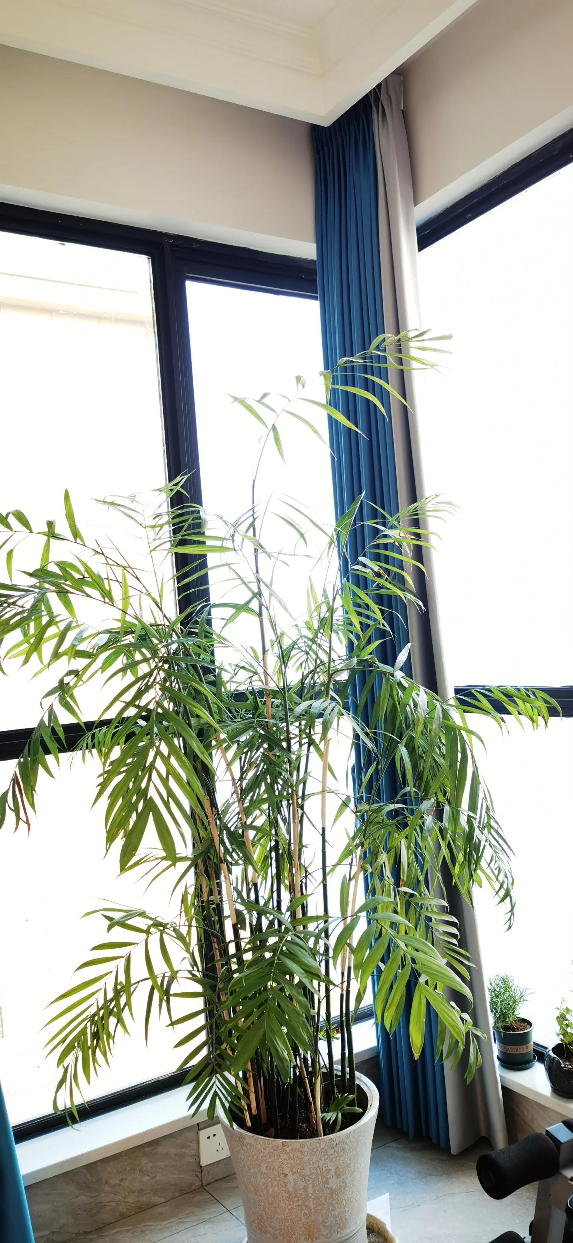 客厅岩板装饰墙,满墙电视柜和岩板背景墙哪个好