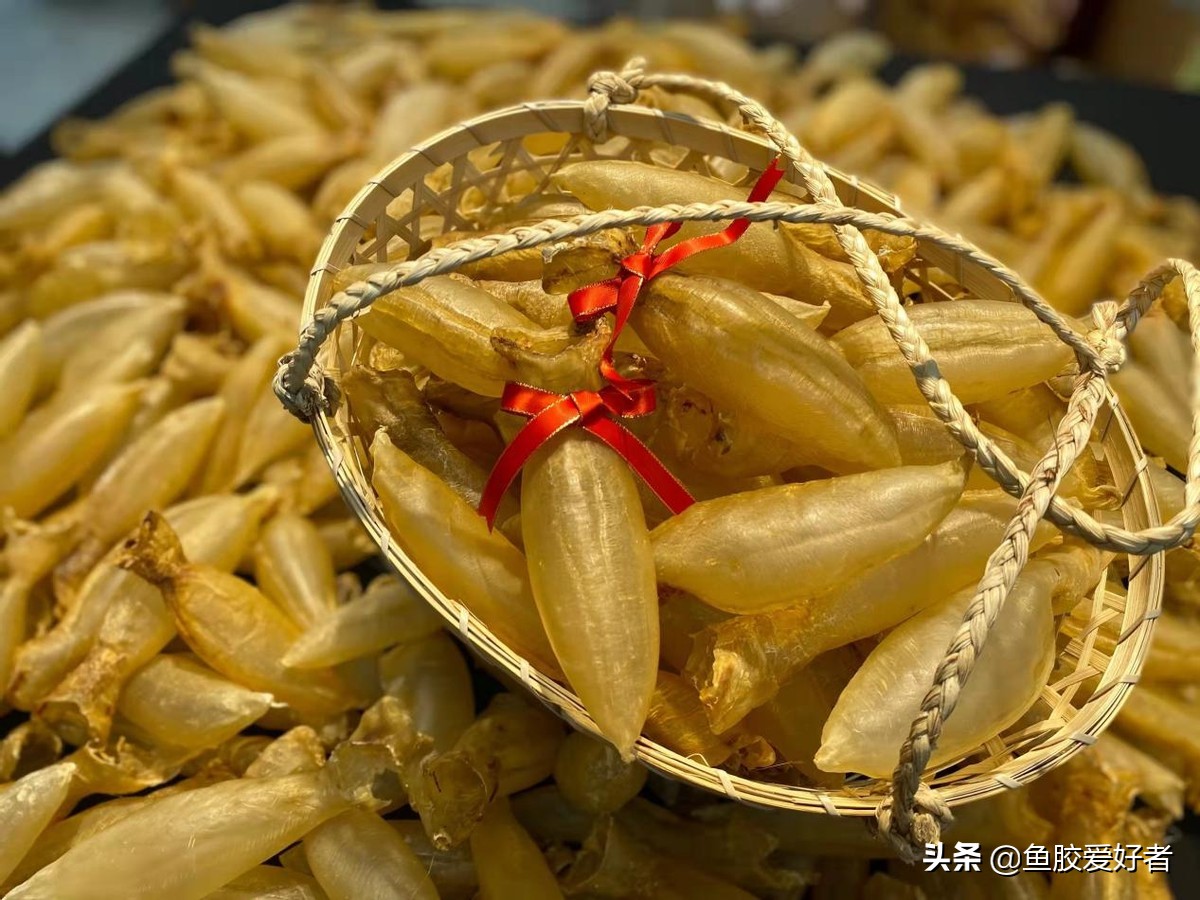 最全鱼胶品种大全,目前最好的鱼胶品种