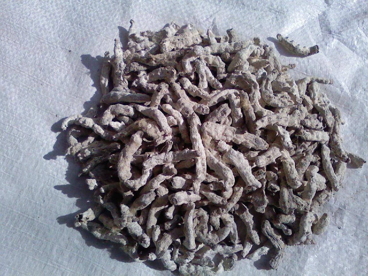 中医咽喉息肉验方大全,专治息肉的四味药组方