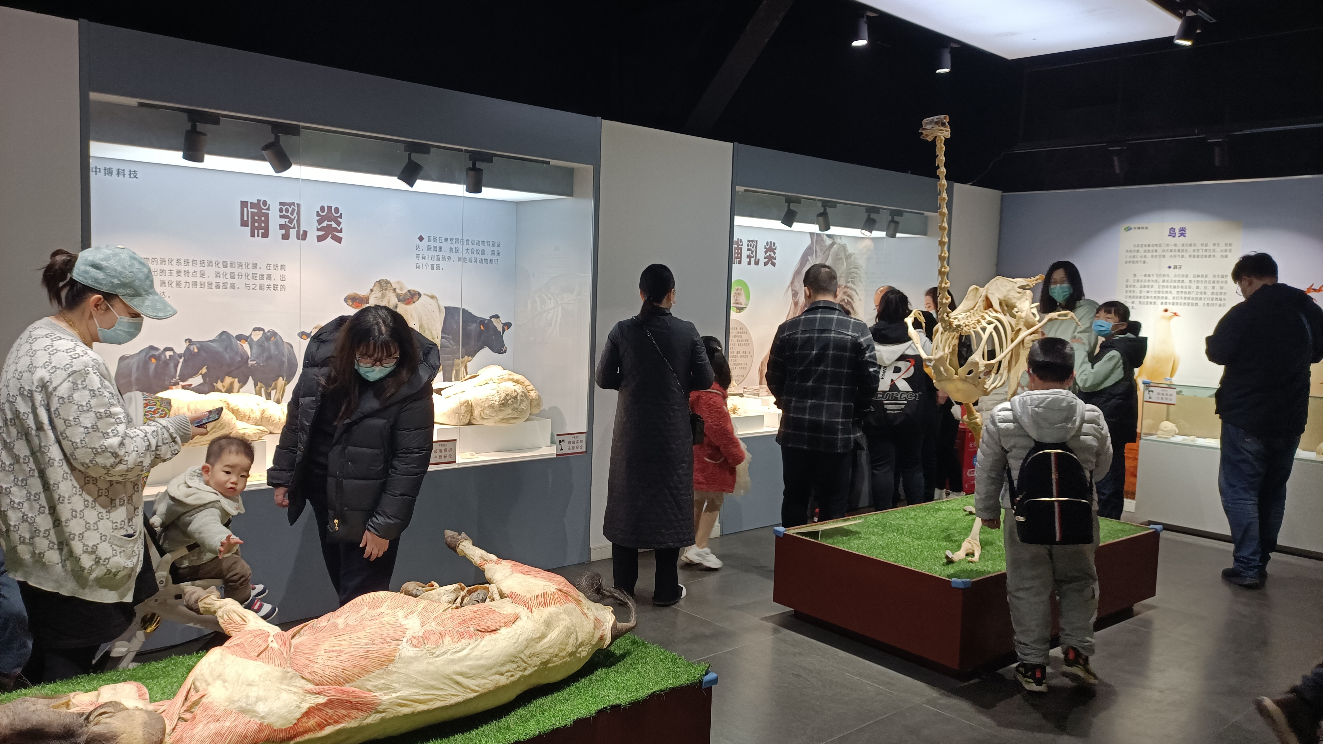 郑州周末遛娃踏青好去处,郑州春季带孩子游玩好去处推荐