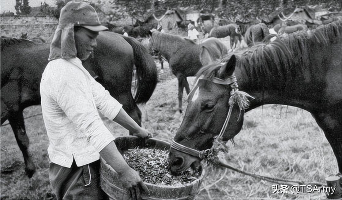 抗日战争时期日本兵单兵作战能力,抗日时期日军都有哪些装备