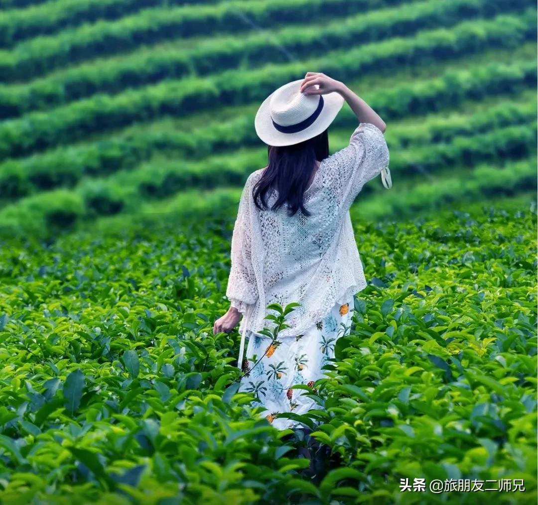清远金子山旅游攻略看雾凇,广东金子山雪景旅游攻略