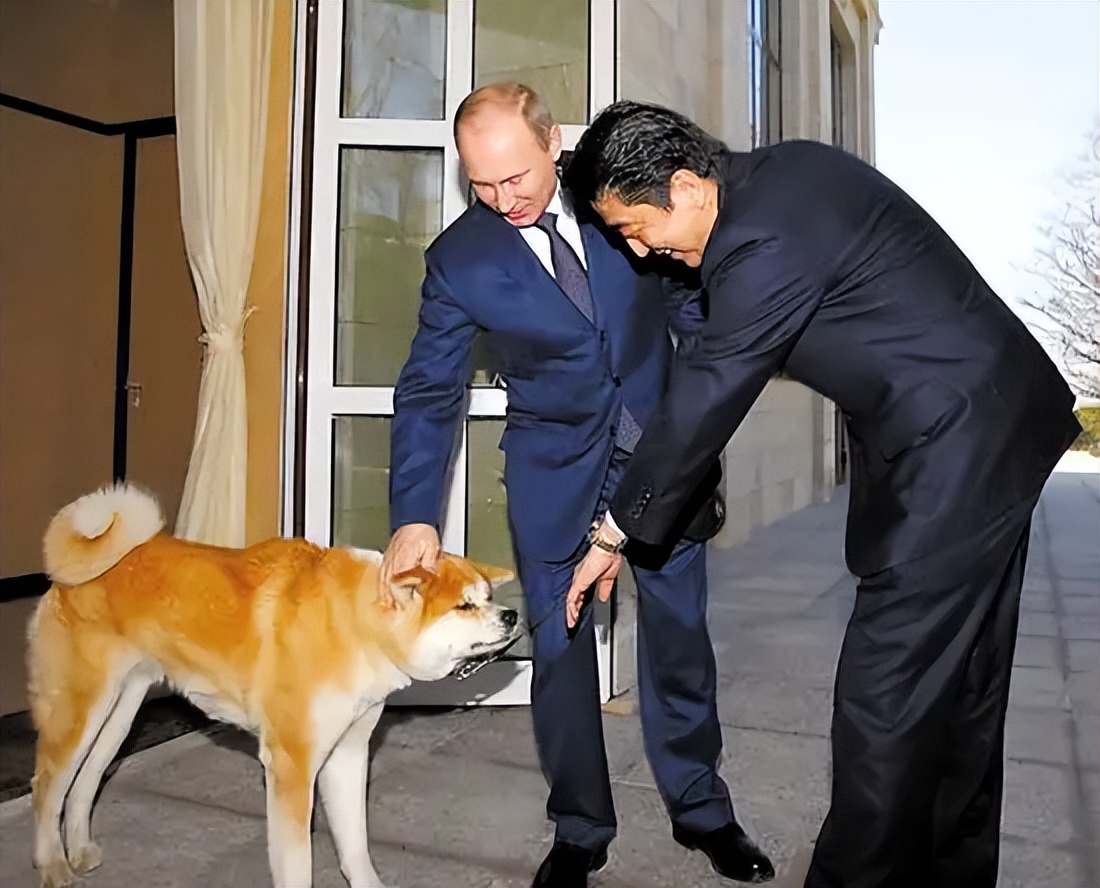 日本前首相安倍晋三演讲时被枪杀,安倍晋三演讲时胸部中枪死亡