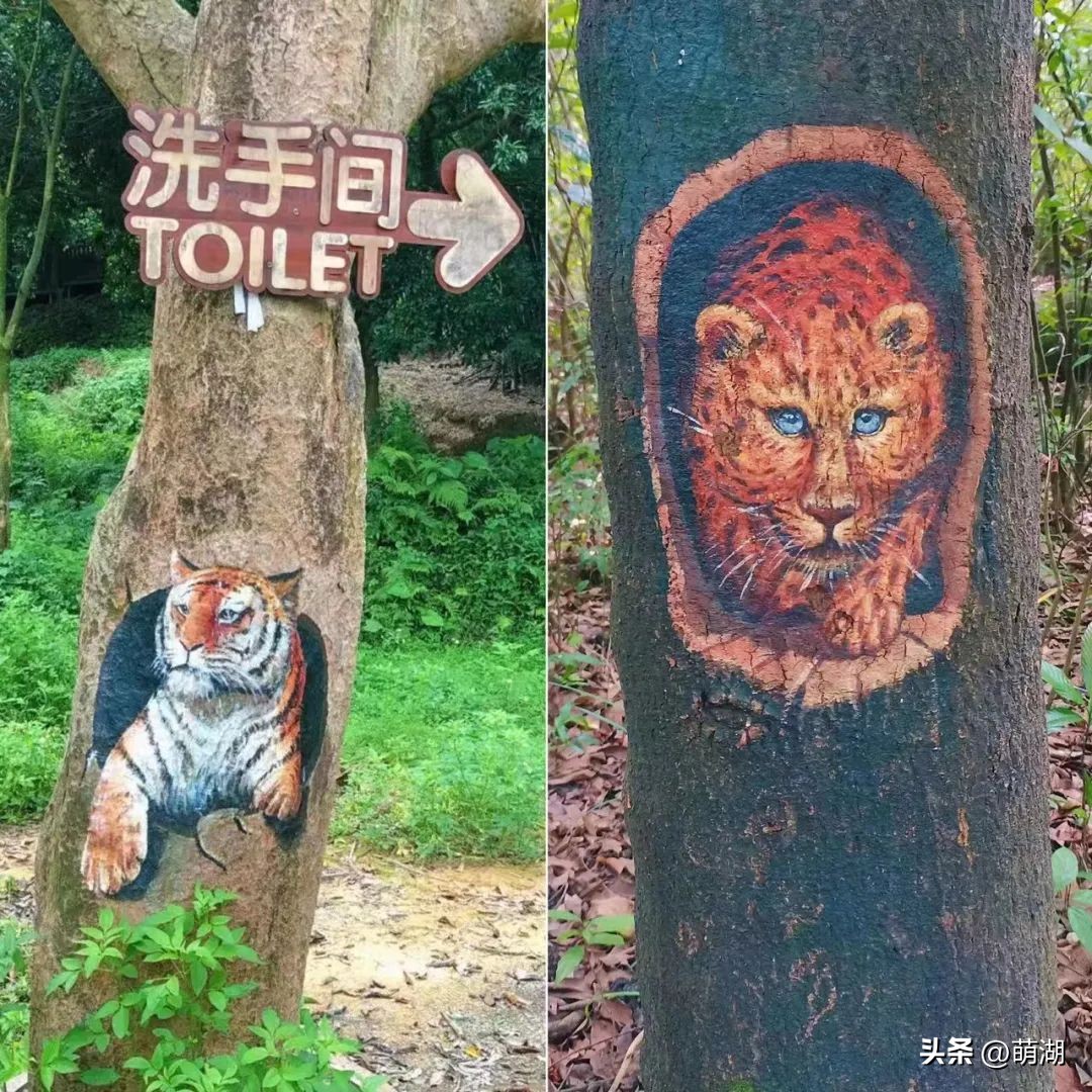 广州这个竹林溯溪胜地玩水,清凉避暑好去处山洞里一起来玩水