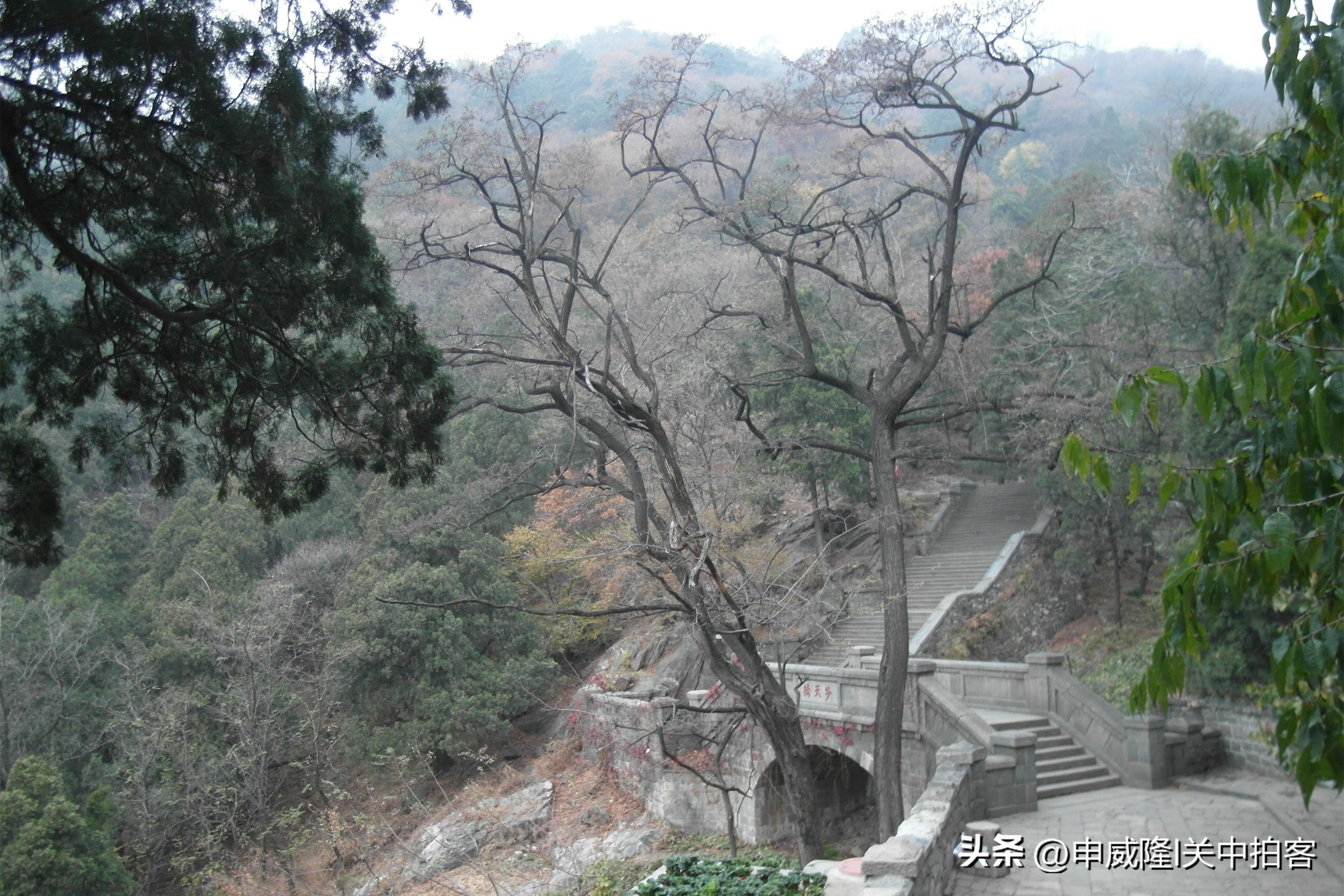登泰山玉皇顶风景,登泰山顶看美景
