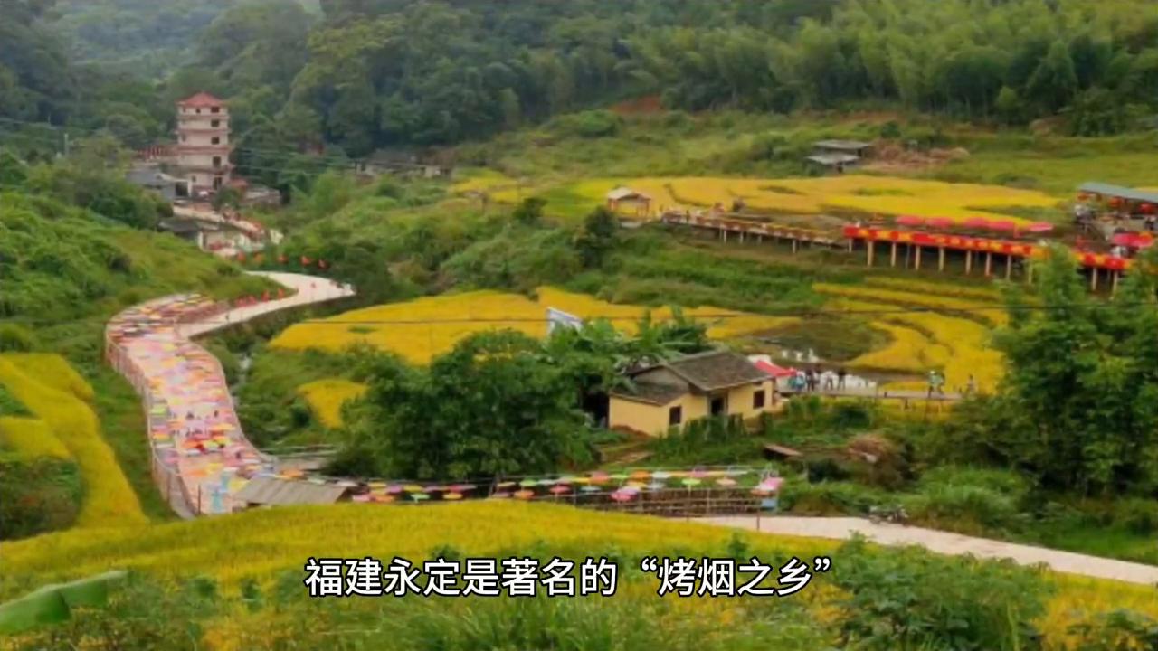 福建香烟历史,福建云霄香烟历史简介