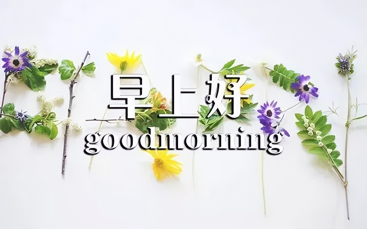 早上好微信励志问候语图片大全集,关于早上好的图片带字微信问候语