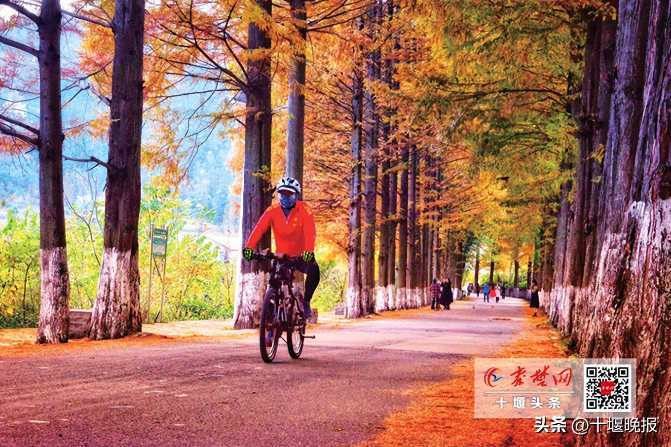 十堰秋天好玩的景点推荐,十堰红叶最佳路线