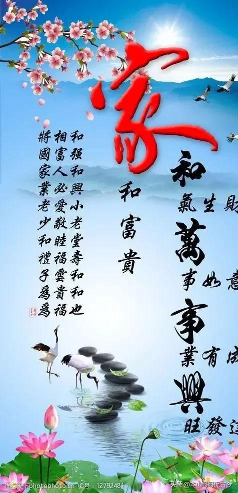 力挺李少莉，痛斥网民网暴了李局长的某法制网应灵魂反思四大忠告