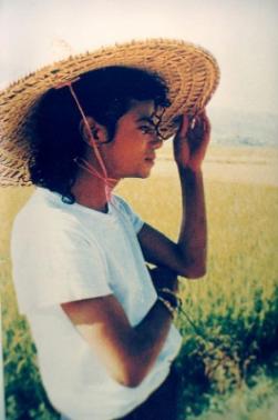 迈克尔杰克逊在广东中山的一天,迈克尔杰克逊来过中国中山吗