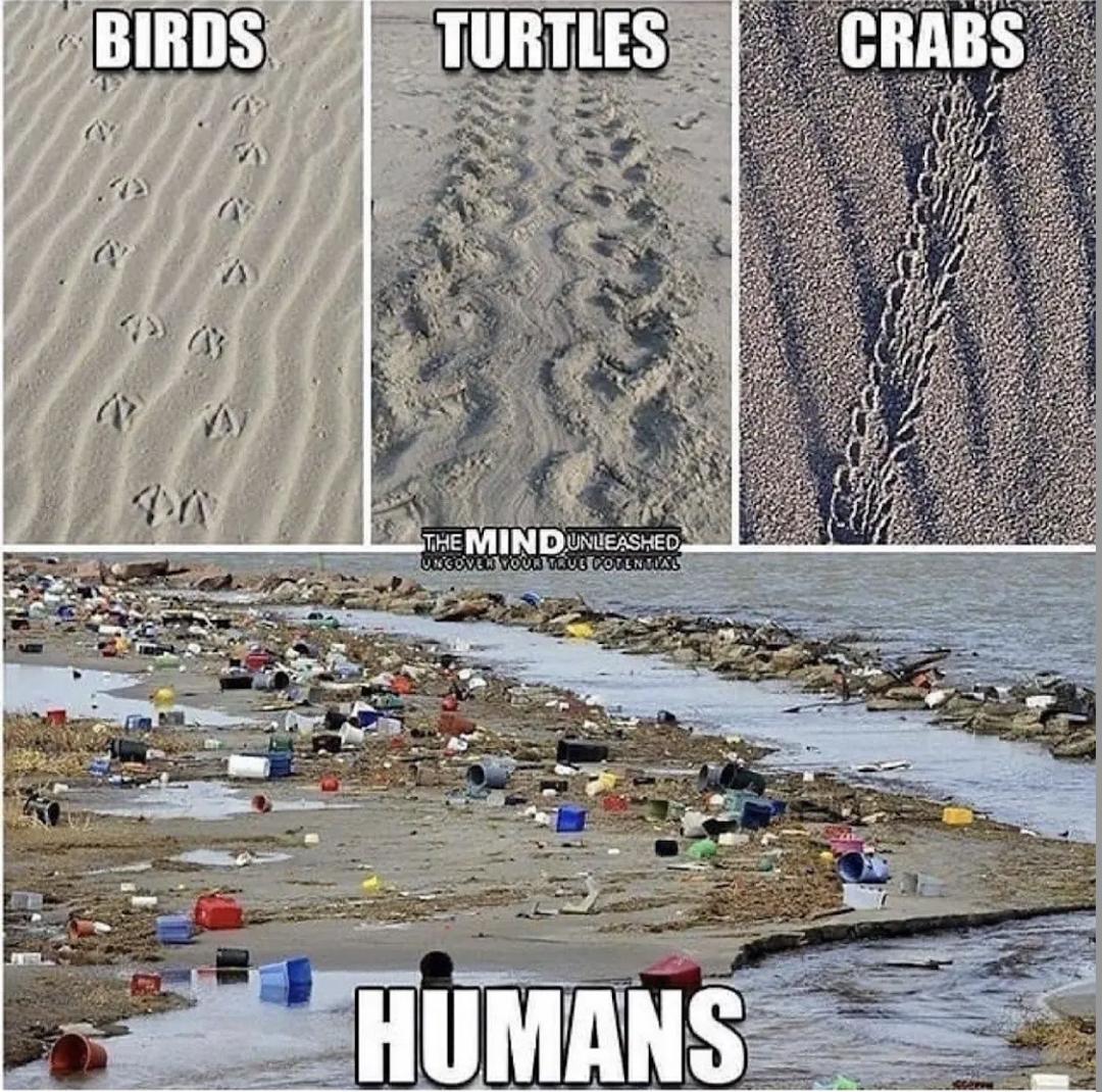 灞辩伀姝讳骸浜哄憳,灞辩伀鐑т激濂冲