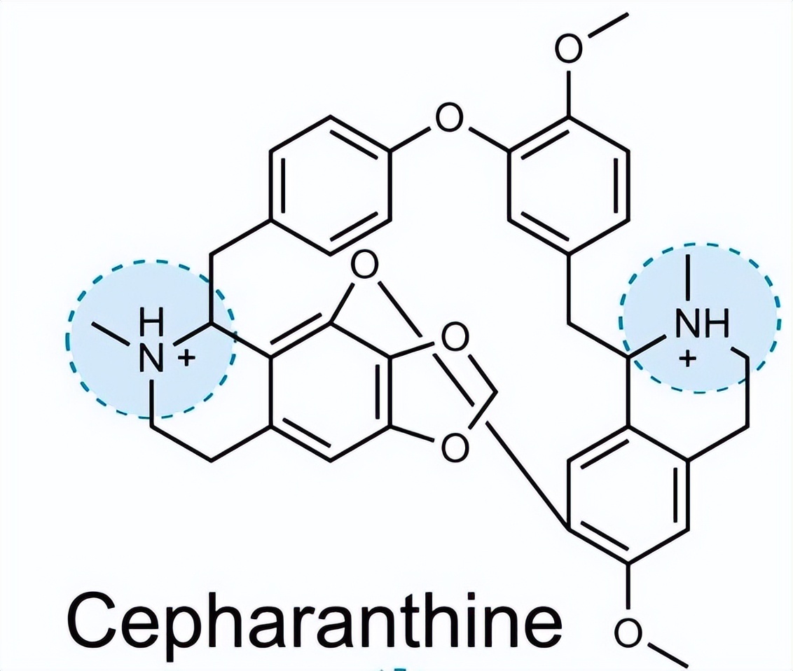 千金藤素怎么抑制新冠病毒,千金藤素抗新冠效果论文