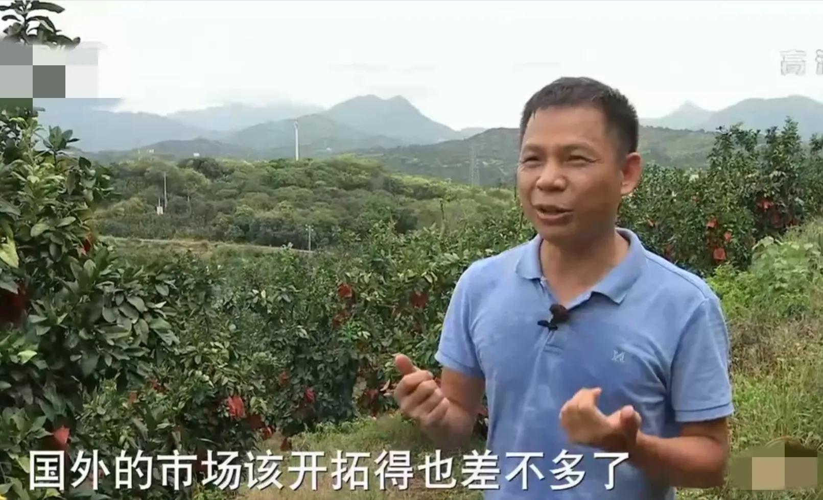 湖南小伙承包五千亩四年赚上千万,90后小伙承包15亩果园