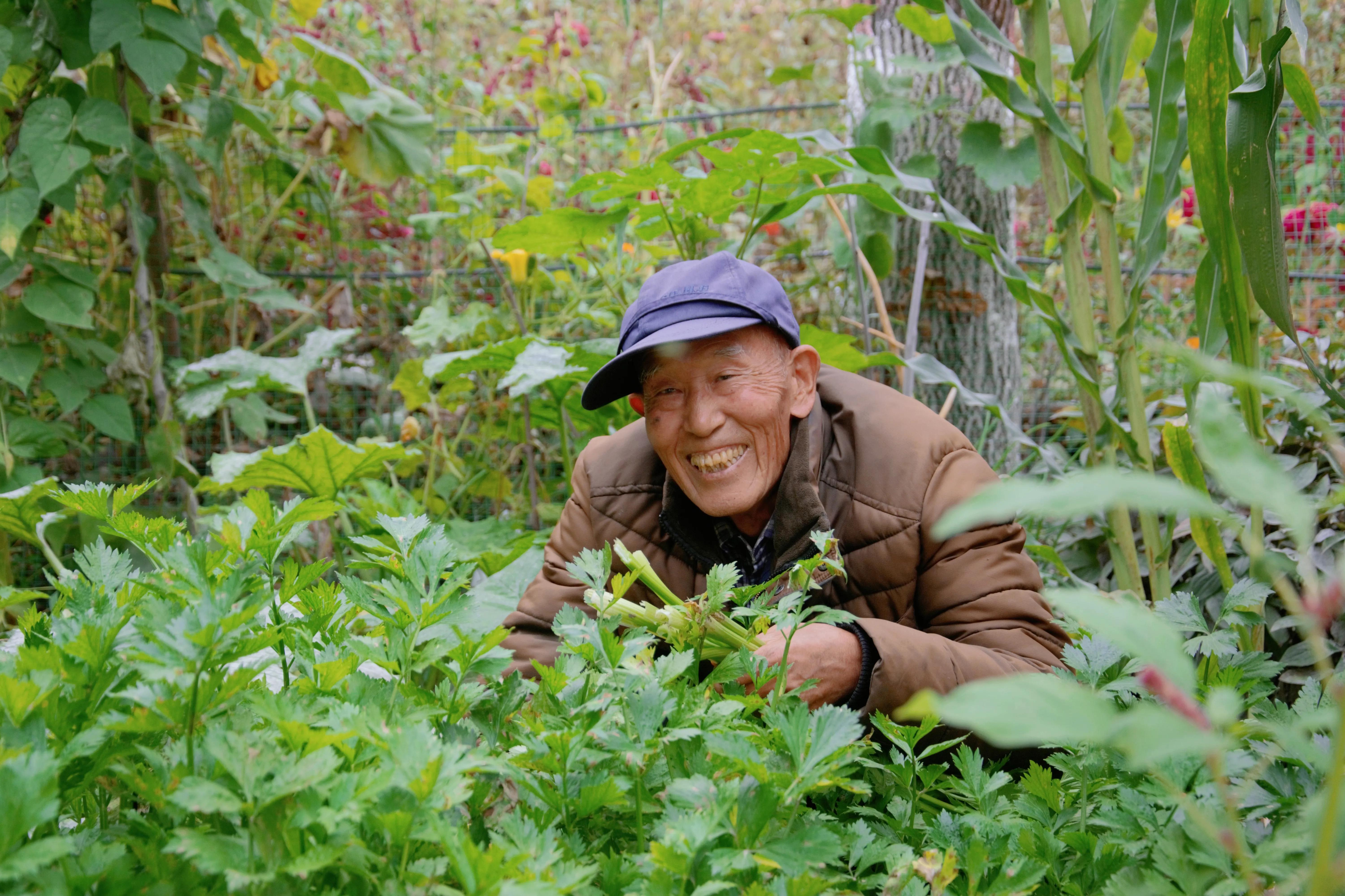 2023年我能否用一台11年前的单反来继续追寻我的摄影之路?