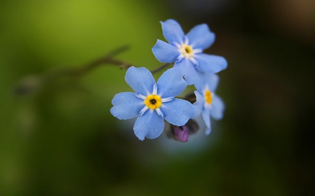 当男人很穷时你会怎样选择,如果男人觉得你很廉价你怎么做
