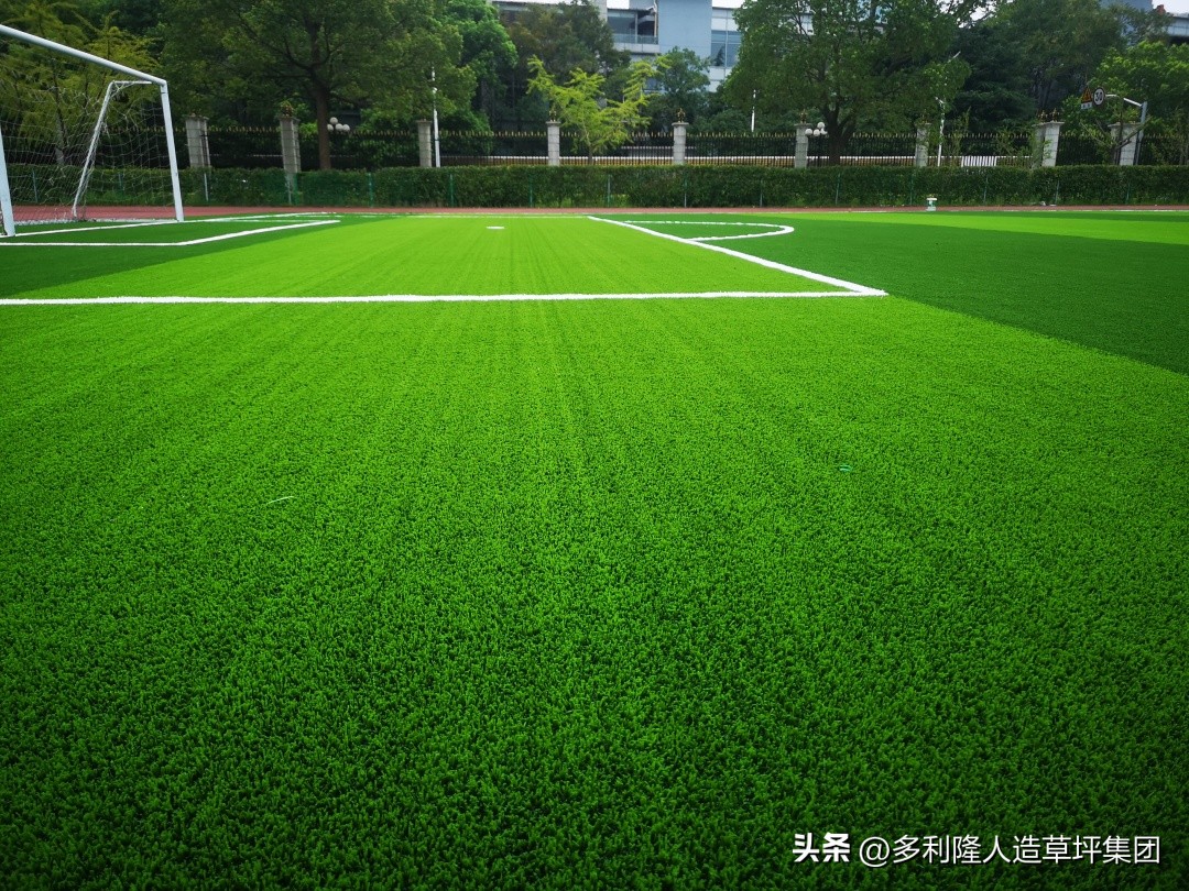 沉浸式体验小学课间,小学运动场地设计