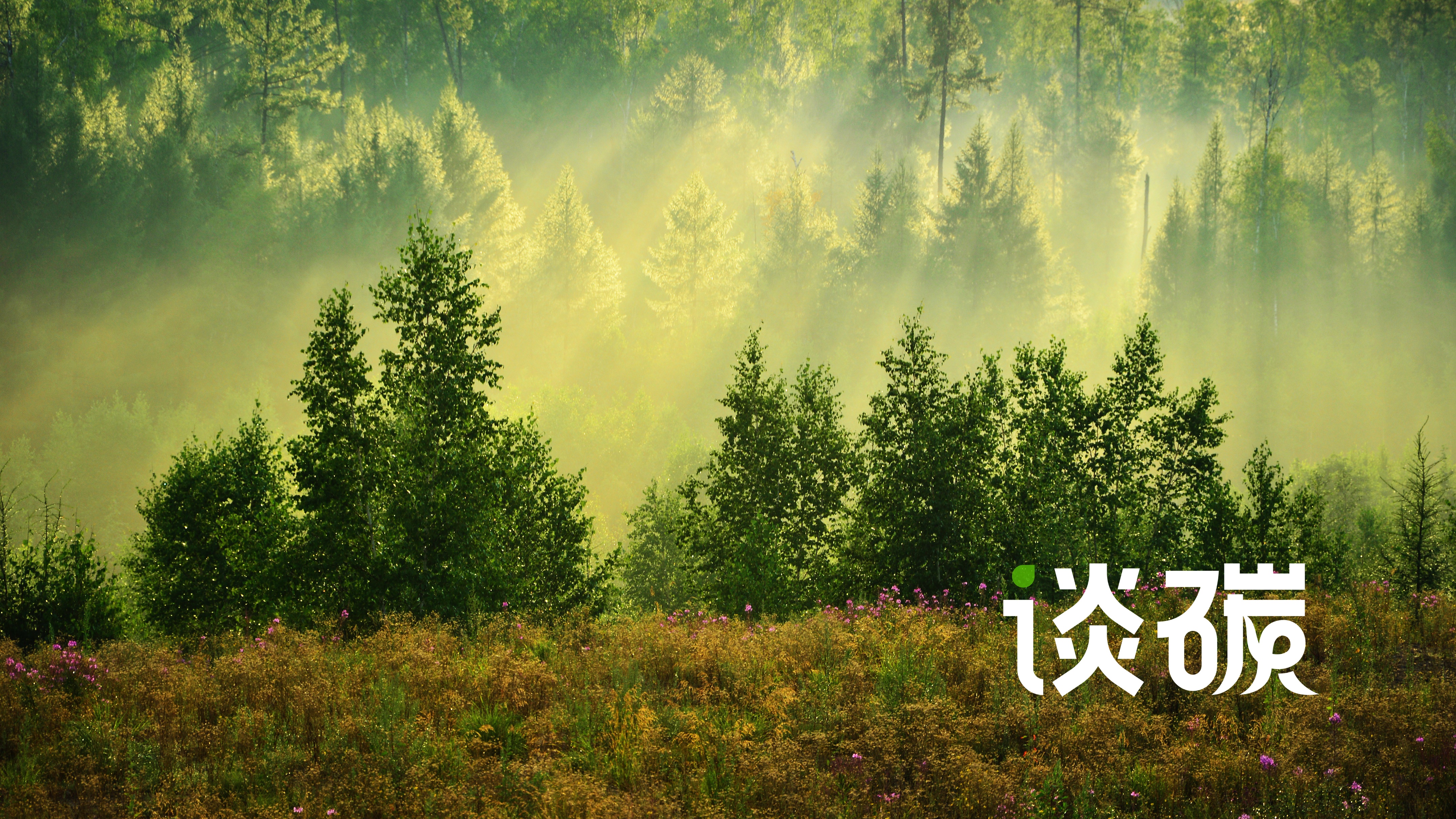 鍐嶇煶璧勬湰鎶曡祫鏈夐檺鍏徃,鍦ㄧ煶璧勬湰