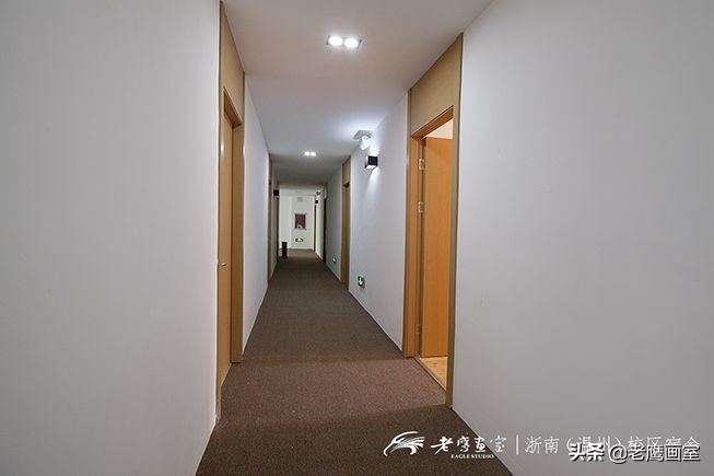 老鹰画室精品班和进阶班,成都老鹰画室和成都艺考画室