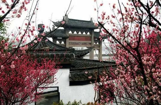 江苏有泰州吗,江苏泰州大泗镇