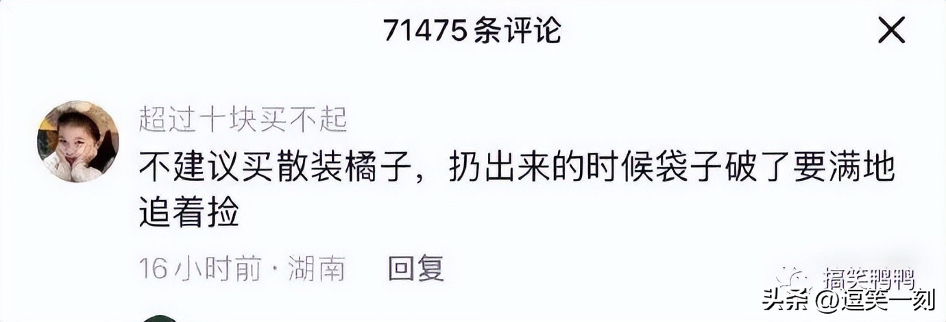 姐妹间的远大梦想，哈哈哈曾梦想仗剑走天涯，后因预算不足而取消