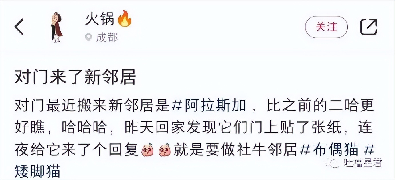 “3W4给女友买战损风上衣...”啊啊啊转身后当场裂开了!