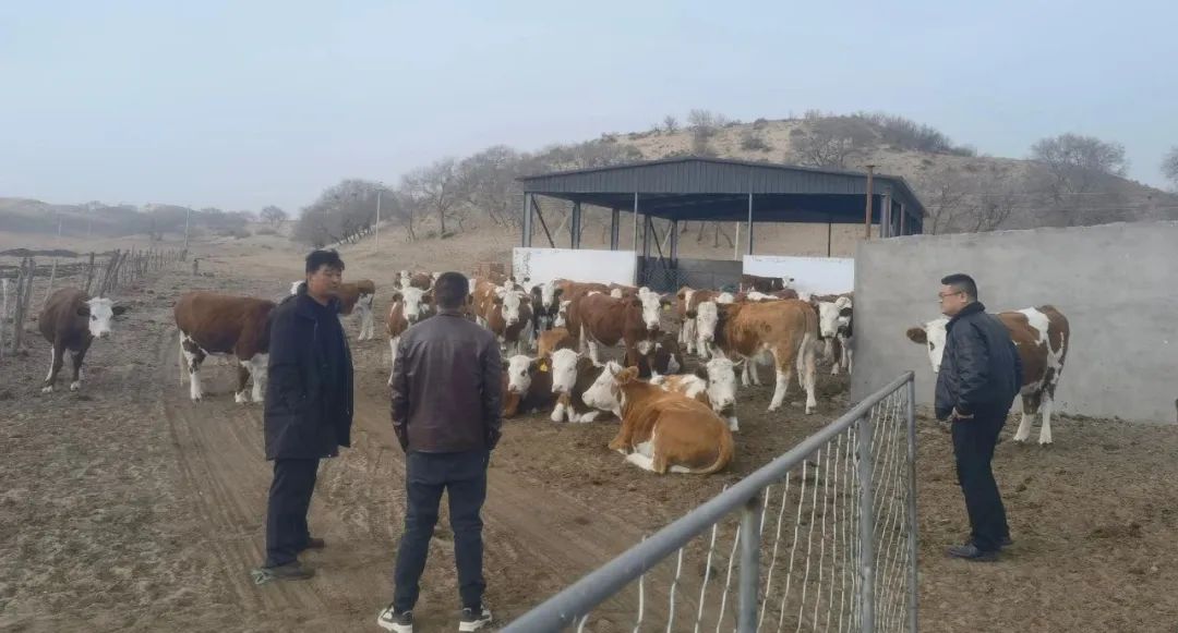 浩来呼热苏木2021工作计划,浩来呼热苏木