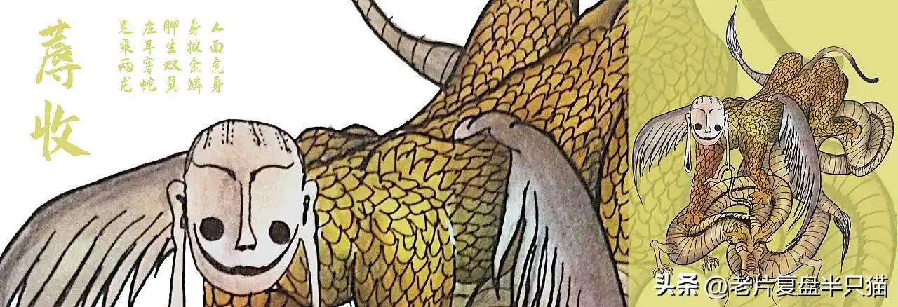 中国国漫大鱼海棠最后独白,大鱼海棠算是国漫中的经典