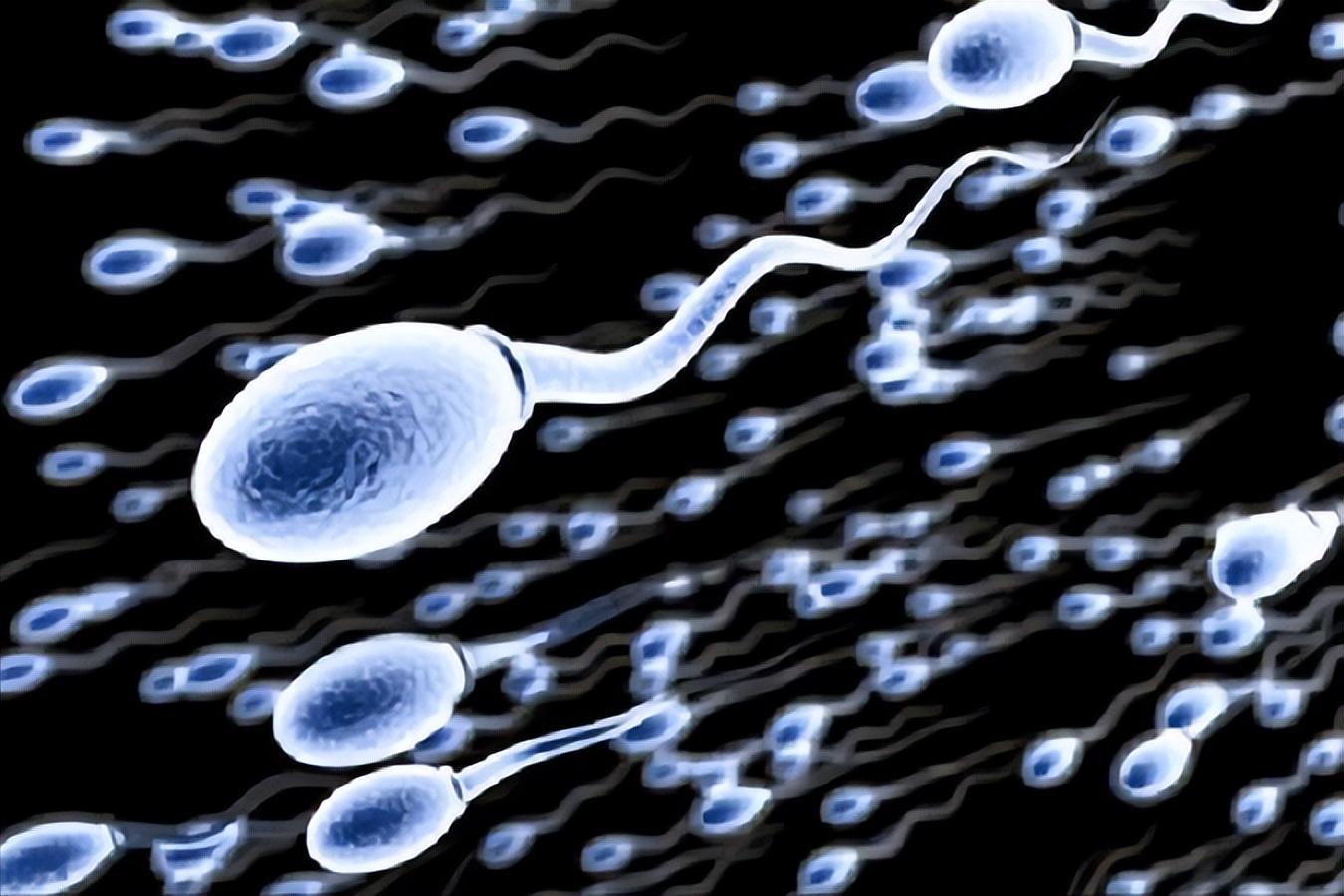 进入女性体内后，那些失败的精子都去了哪里？真是心疼又好笑