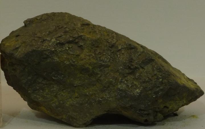 教你识别铜,带你识别植物