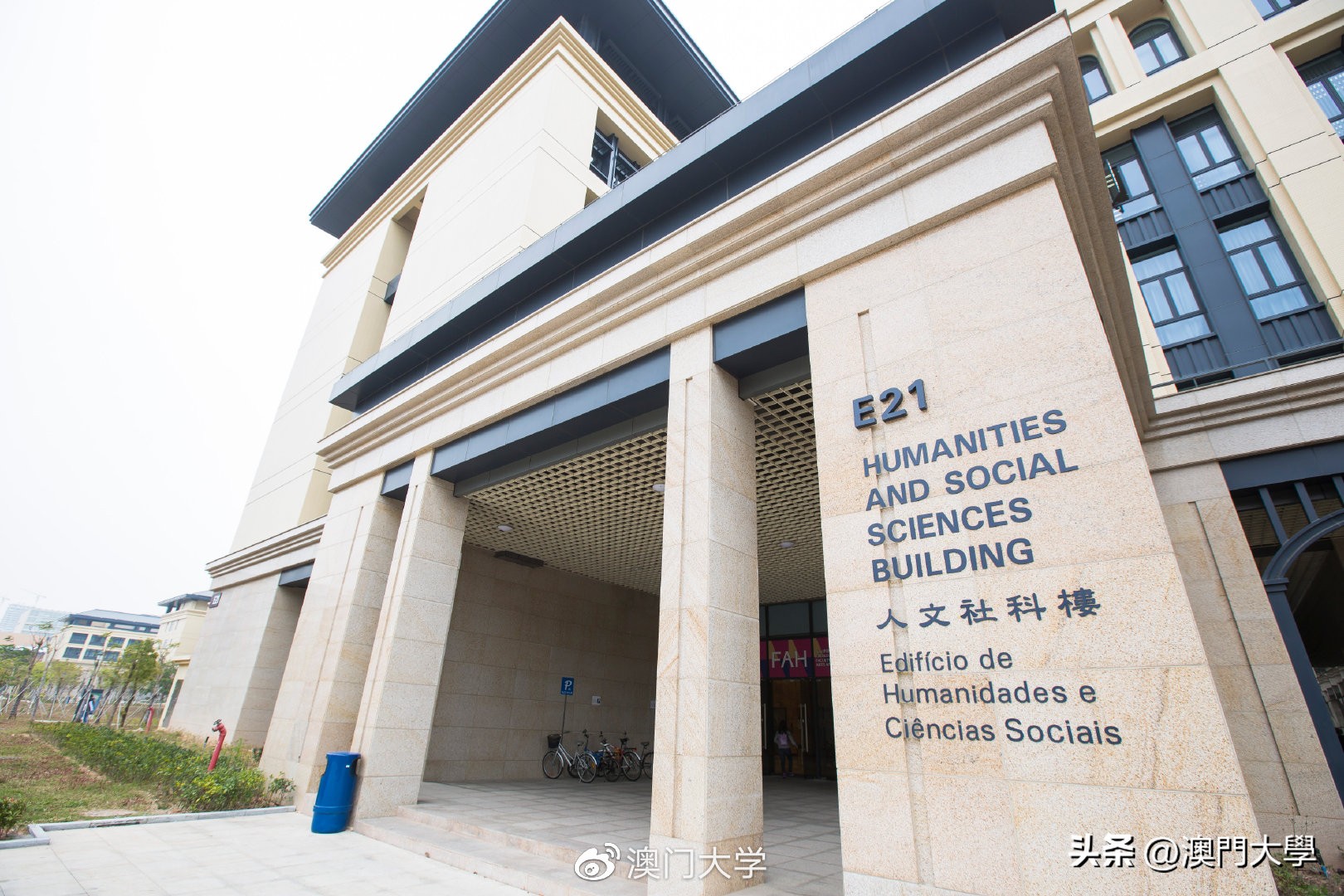 选科攻略,选科指导入门知识