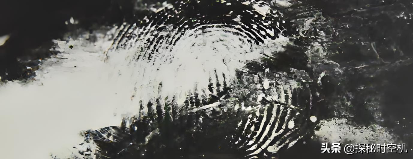 月圆之夜消失的少女：10天后麦田惊现女尸，24年后真相得以揭开