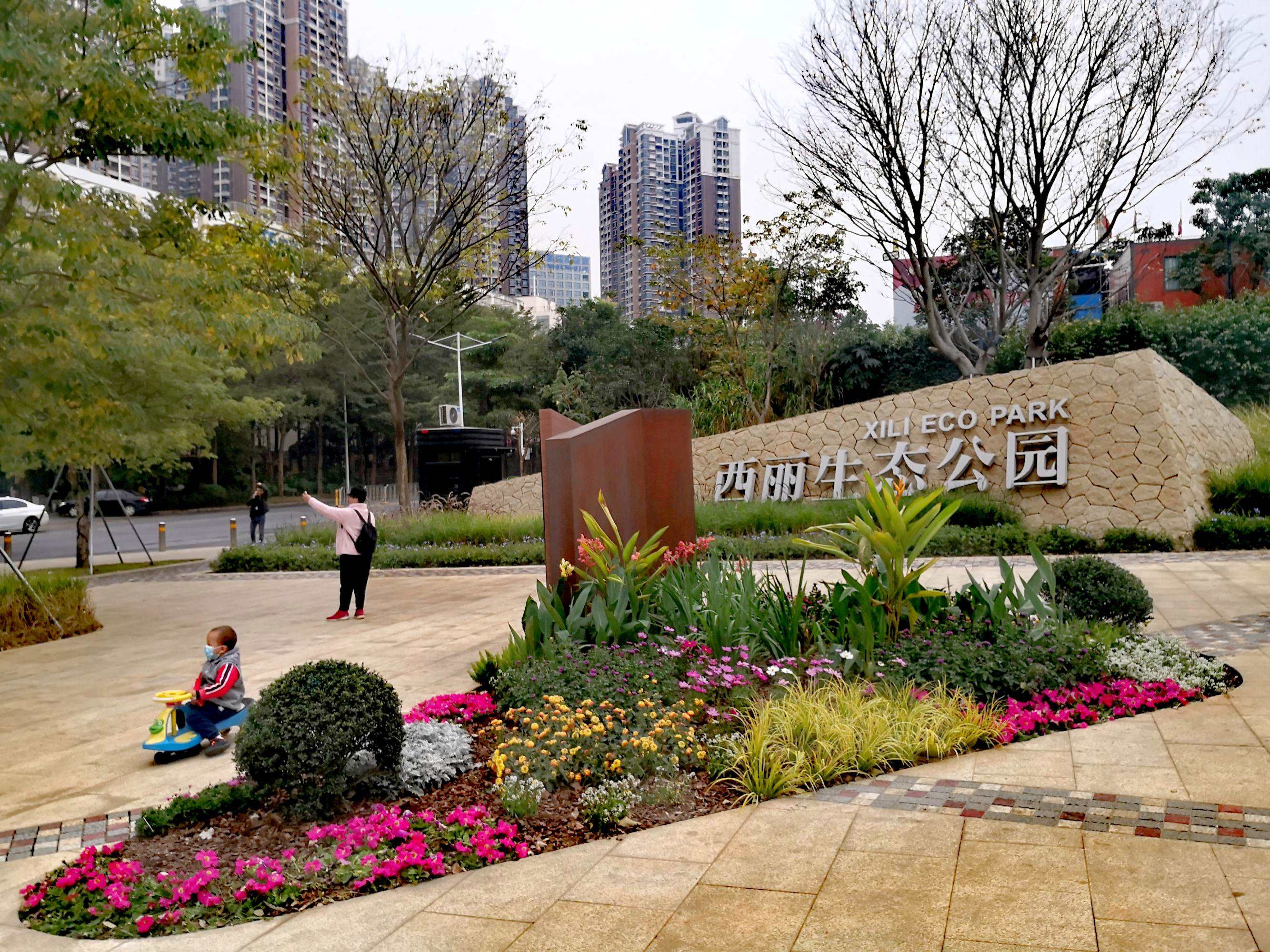 深圳南山真的那么强吗,深圳南山强吗