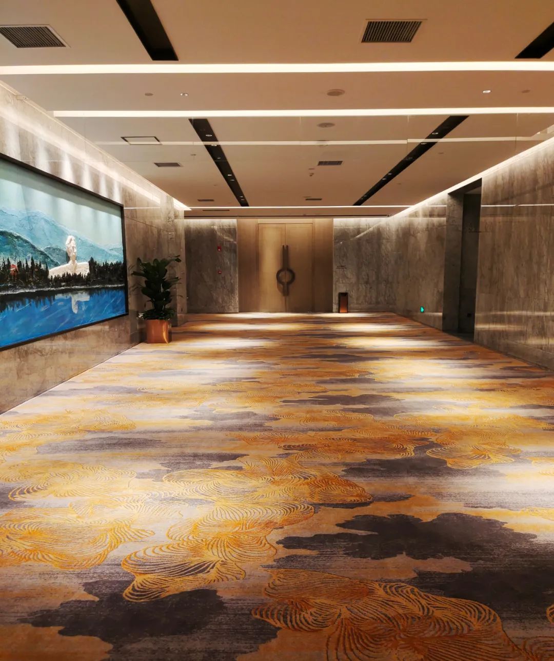 山花烂漫长沙,长沙山花地毯